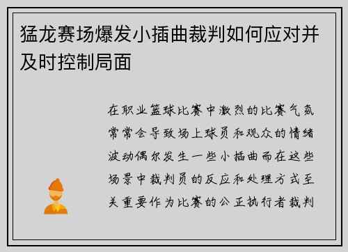 猛龙赛场爆发小插曲裁判如何应对并及时控制局面